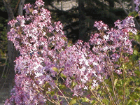 ̫�O��@��ɫ��̫�O�²����O(sh��)�乫˾