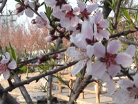 ̫�O��@��ɫ��̫�O�²����O(sh��)�乫˾